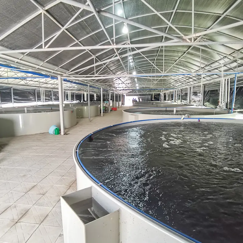 Industrial Fish Farm Ras Fish Farming Equipment Indoor Shrimp Farming Equipment