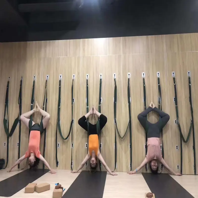 Yoga Wall Installation Accessories Yoga Wall System Pelvic swing  Belts Pilates Wall Mounted Unit with Panel