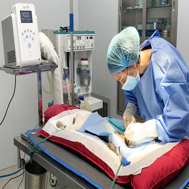 Surgical hospital equipments machine