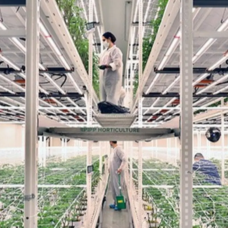 Floor height adjusted Mobile Vertical Indoor Farming Plant Growing Shelf Racking System