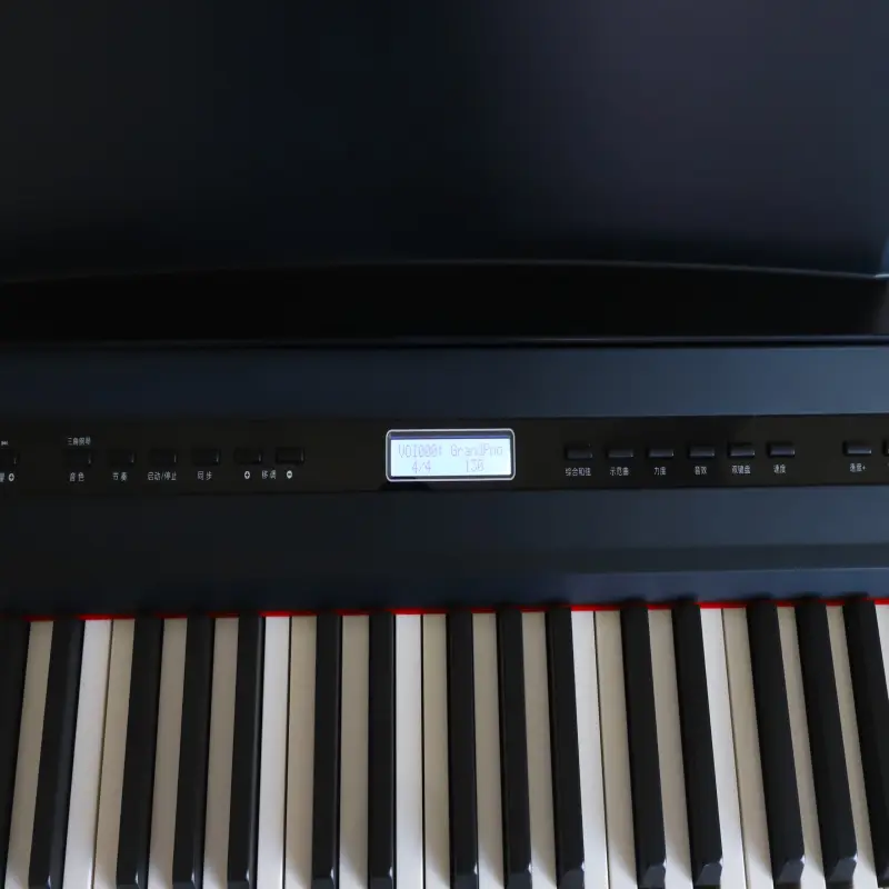 Portable 194 Keyboard Musical Instruments Professional Key board Piano
