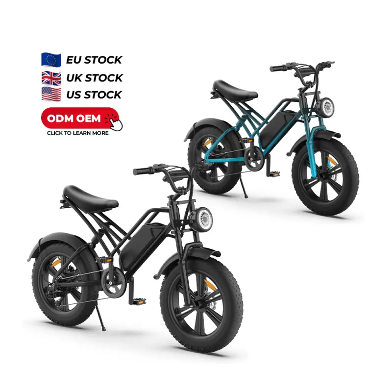 2023 Wholesale e Bike Electric Fat Bike 1000w Bicycle with 48V 15Ah Lithium Battery