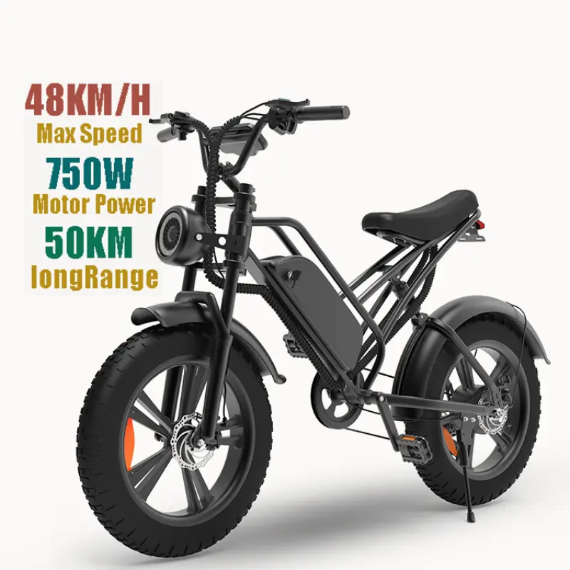 Cruiser Electric Bike Electric Bicycle Motor Integrated Battery 48v Battery Ebike 750w Powerful Beach Lithium Battery 7 Speed