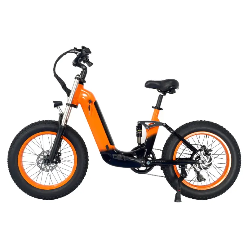 US Warehouse 48V 14AH 750W FW-Z8 bicycle electric Cheap Adult Electric Bike Bicycle