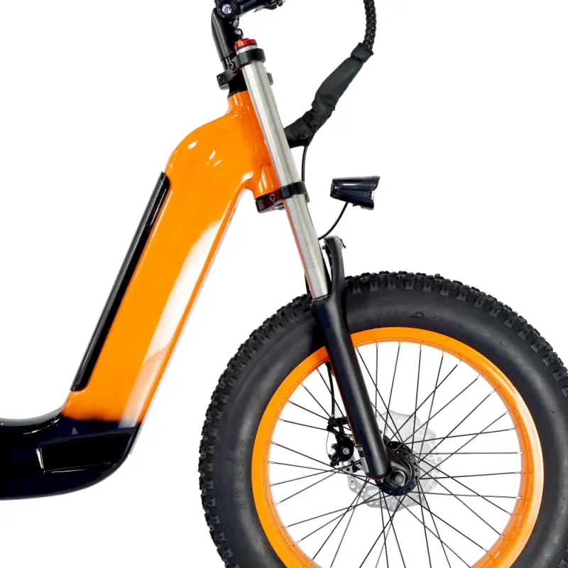 US Warehouse 48V 14AH 750W FW-Z8 bicycle electric Cheap Adult Electric Bike Bicycle