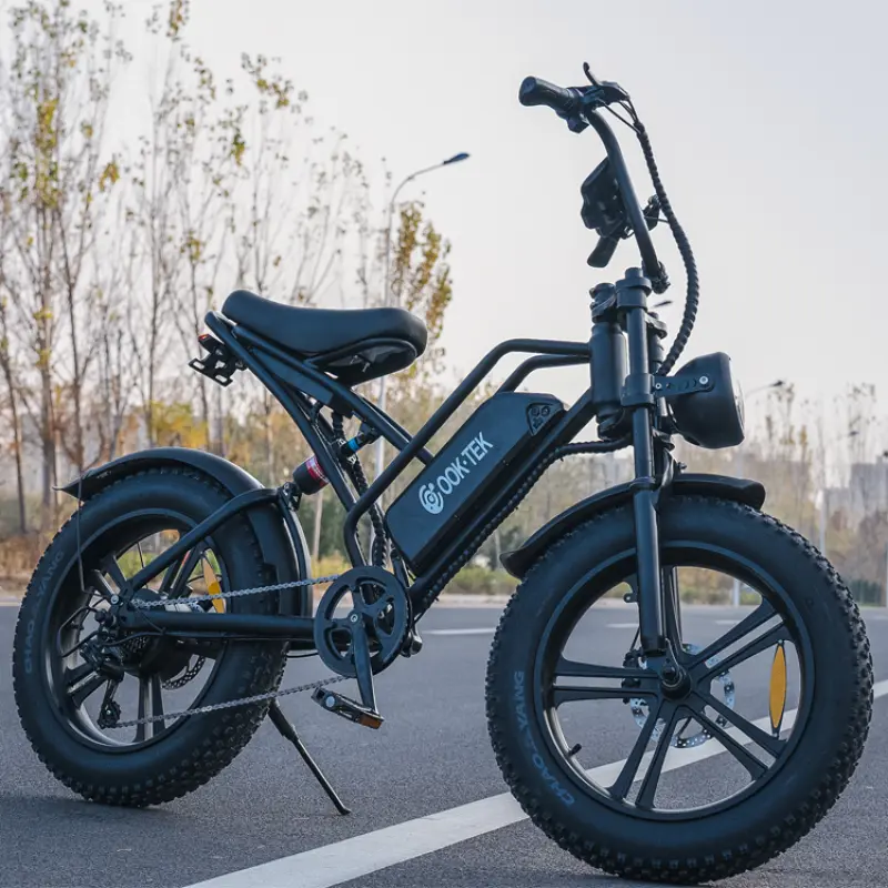 Cruiser Electric Bike Electric Bicycle Motor Integrated Battery 48v Battery Ebike 750w Powerful Beach Lithium Battery 7 Speed