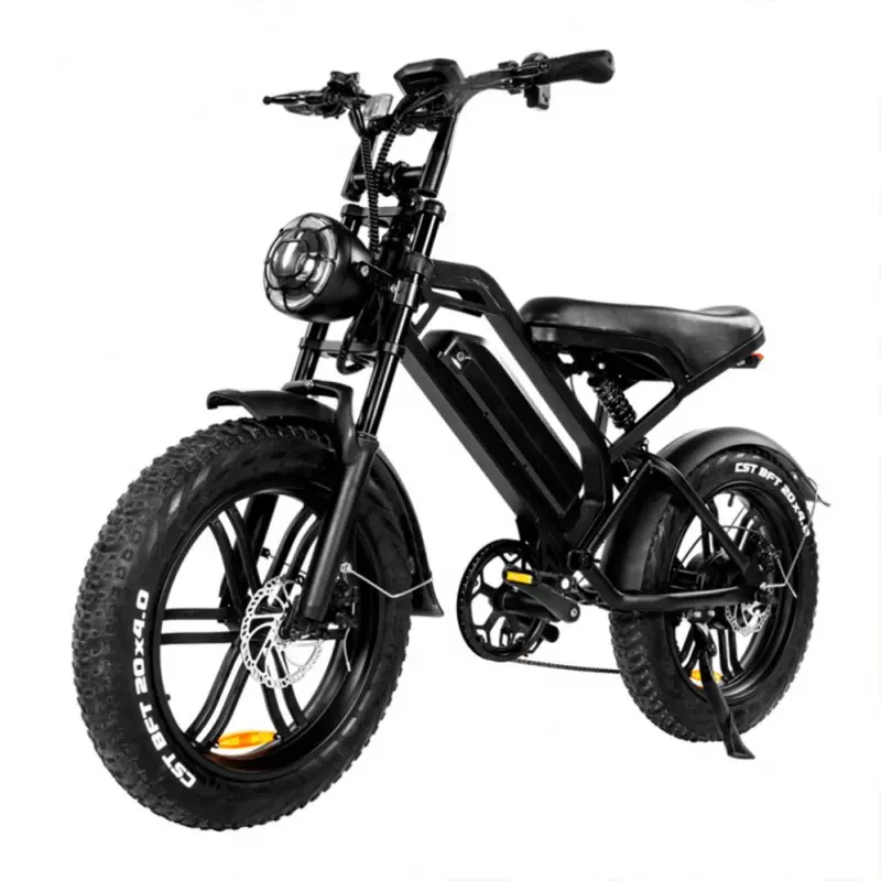 EU US Warehouse 750W 48V Cheap Electric Bicycle Dirt Bikes Retro Electric Sport Bike Mountain Electric Fat Tire Bike