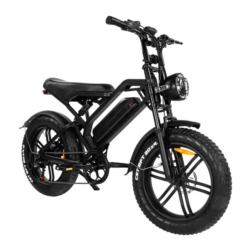 EU US Warehouse 750W 48V Cheap Electric Bicycle Dirt Bikes Retro Electric Sport Bike Mountain Electric Fat Tire Bike