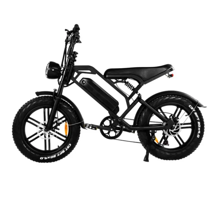 EU US Warehouse 750W 48V Cheap Electric Bicycle Dirt Bikes Retro Electric Sport Bike Mountain Electric Fat Tire Bike