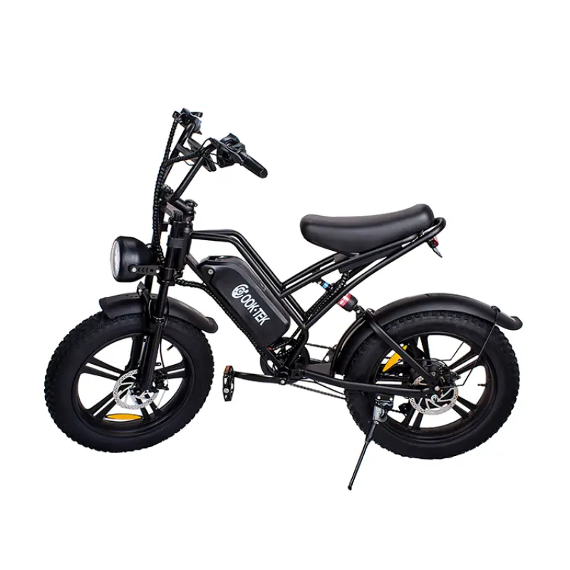 Cruiser Electric Bike Electric Bicycle Motor Integrated Battery 48v Battery Ebike 750w Powerful Beach Lithium Battery 7 Speed