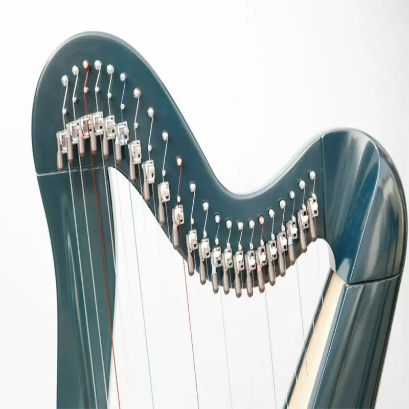 22 Strings Roundback Harp with Levers