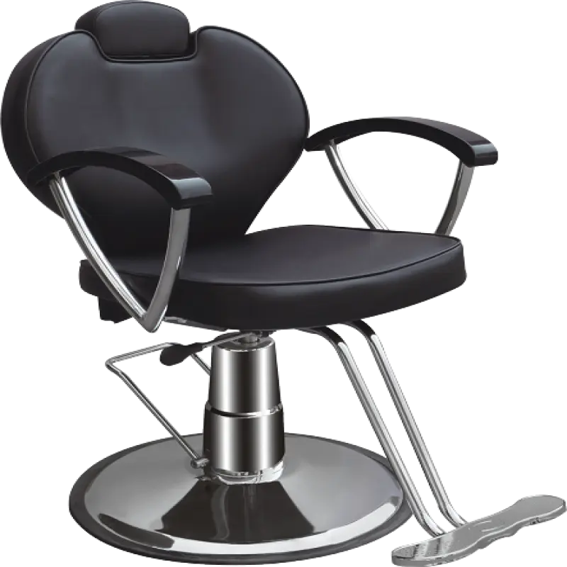 Hair Salon Black Barber Chair