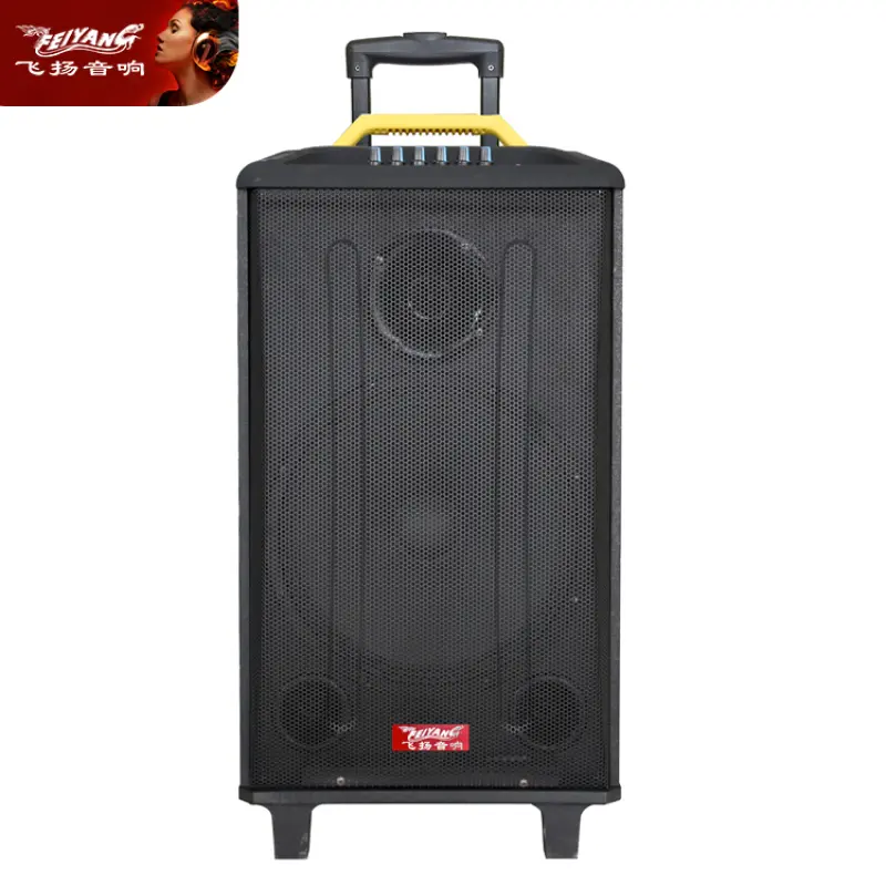 MIC luxury wheels cheap trolley wooden super bass single 12 inch ACTIVE bt MOBILE DJ USB amplifier acoustic audio loud speaker