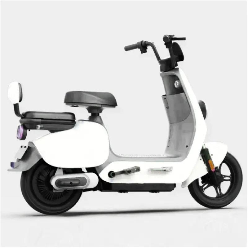 High Quality Chinese 48V 350W Scooter Electric City Bike Electric Bicycle Strong Electric Bike