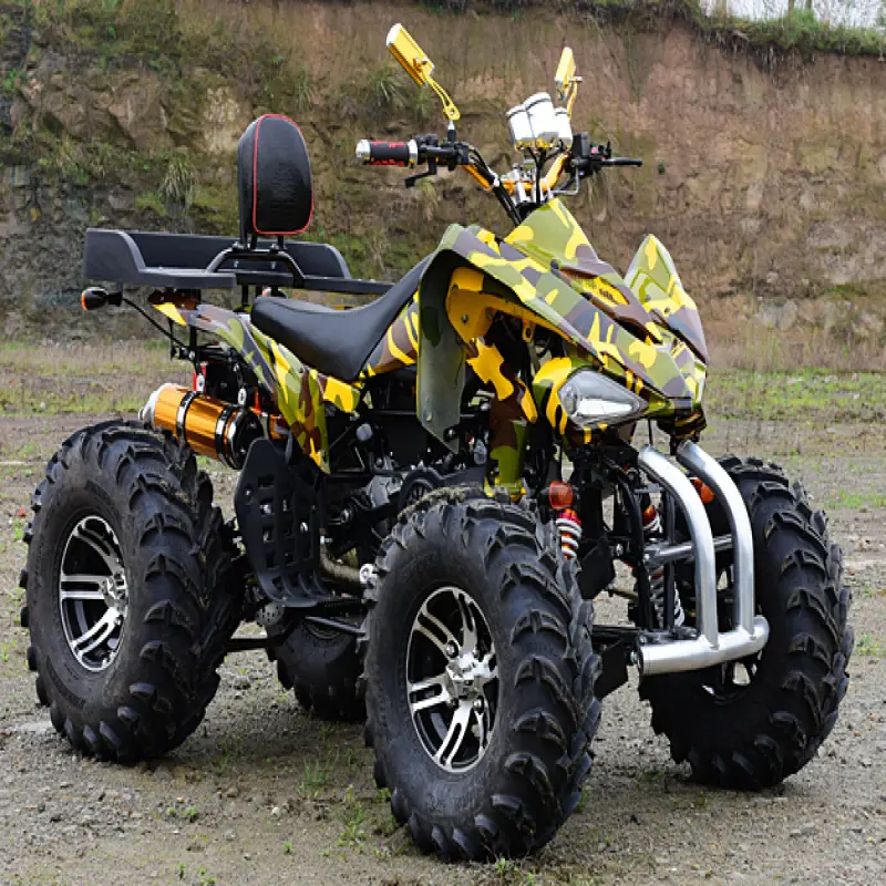 200cc 300cc Mars Mountain Off Road Bike Dirt Quad Farm ATVs 4 Stroke