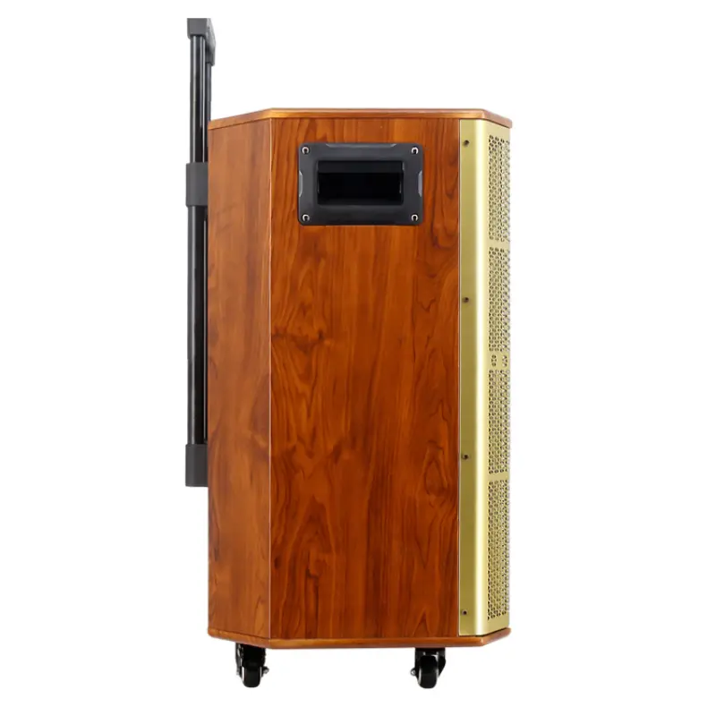 Wholesale luxury Trolley Speaker Box System gold BT Stage karaoke DJ Speaker for Microphone