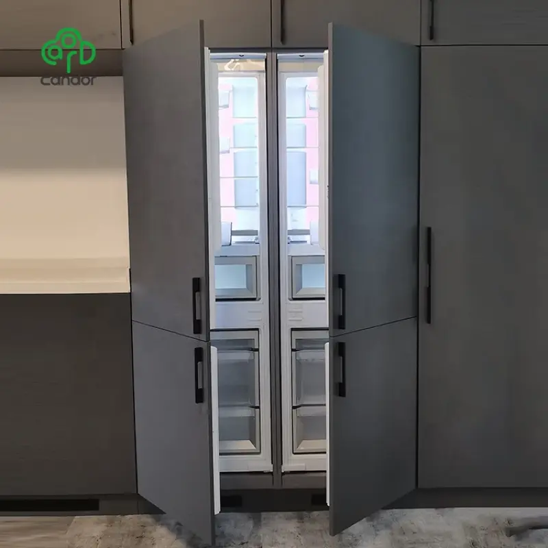 Modern 2022 Build in fridge freezer with LED lights