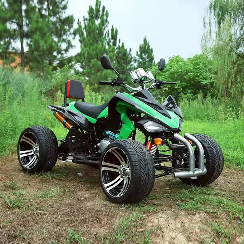 200cc 300cc Mars Mountain Off Road Bike Dirt Quad Farm ATVs 4 Stroke