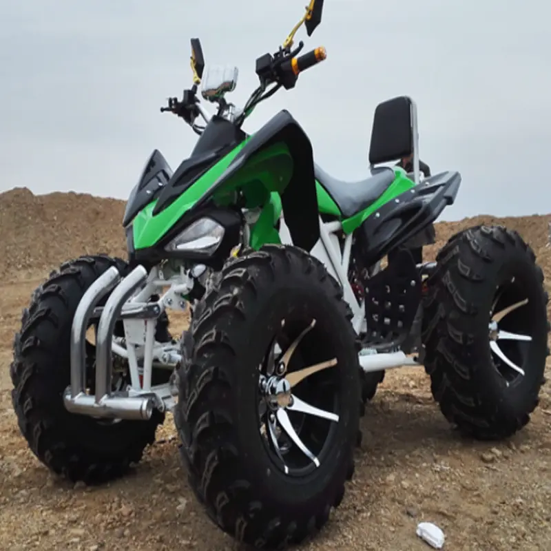 200cc 300cc Mars Mountain Off Road Bike Dirt Quad Farm ATVs 4 Stroke