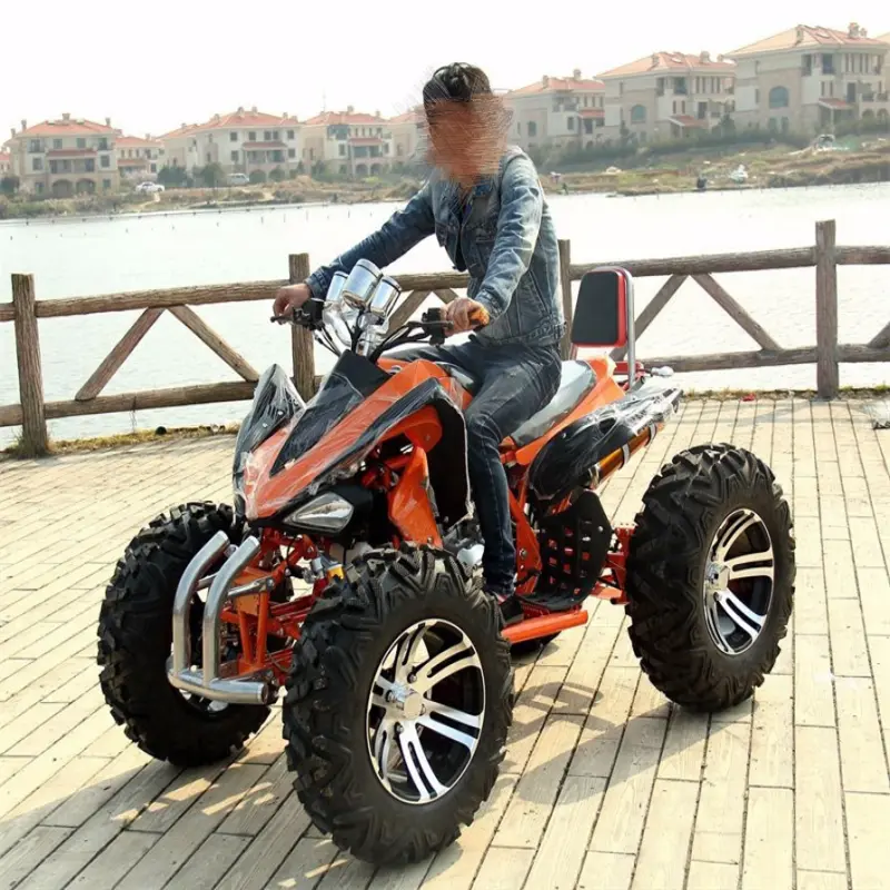 200cc 300cc Mars Mountain Off Road Bike Dirt Quad Farm ATVs 4 Stroke