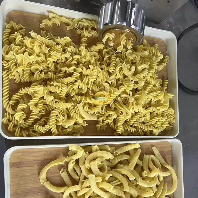 Pasta Making Machine 6-12kg per hr Automatic Electric Industrial Macaroni Pasta Extruder Production Maker