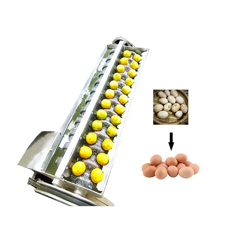 Automatic Egg Processing Equipment Cleaning Machine