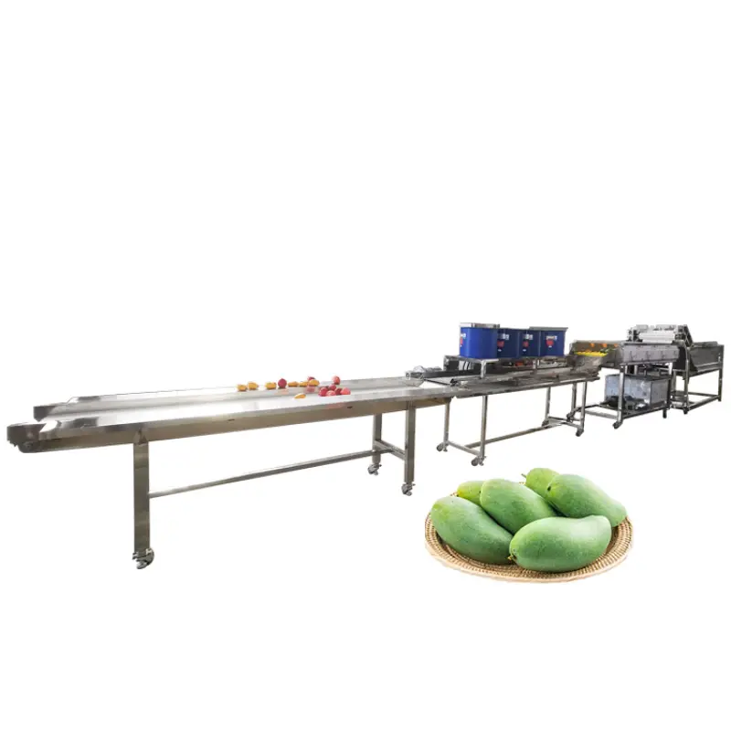 Industrial Fruit Washer And Sorting Line Apple Mango Washing Machine 400-600KG per H Fruit Cleaner Machine