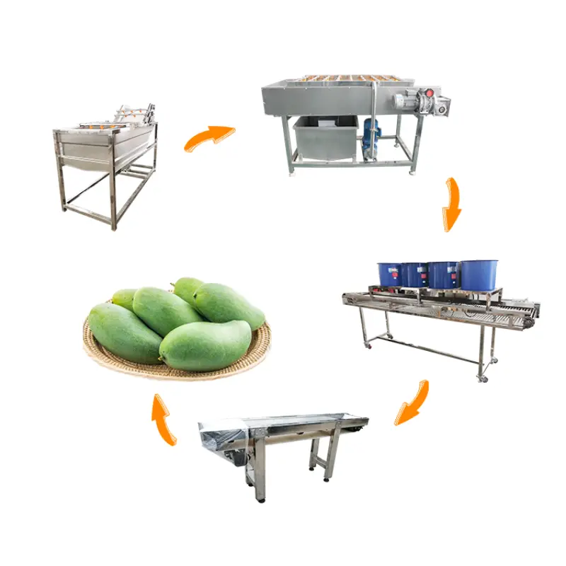 Industrial Fruit Washer And Sorting Line Apple Mango Washing Machine 400-600KG per H Fruit Cleaner Machine