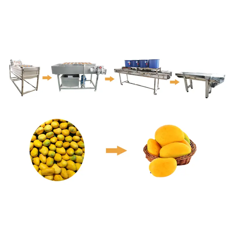 Industrial Fruit Washer And Sorting Line Apple Mango Washing Machine 400-600KG per H Fruit Cleaner Machine