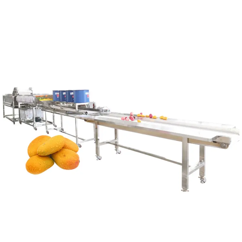 Industrial Fruit Washer And Sorting Line Apple Mango Washing Machine 400-600KG per H Fruit Cleaner Machine