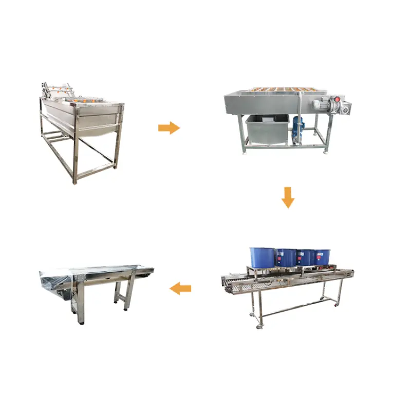 Industrial Fruit Washer And Sorting Line Apple Mango Washing Machine 400-600KG per H Fruit Cleaner Machine