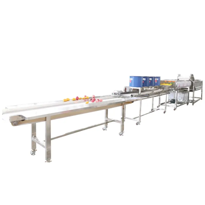 Industrial Fruit Washer And Sorting Line Apple Mango Washing Machine 400-600KG per H Fruit Cleaner Machine