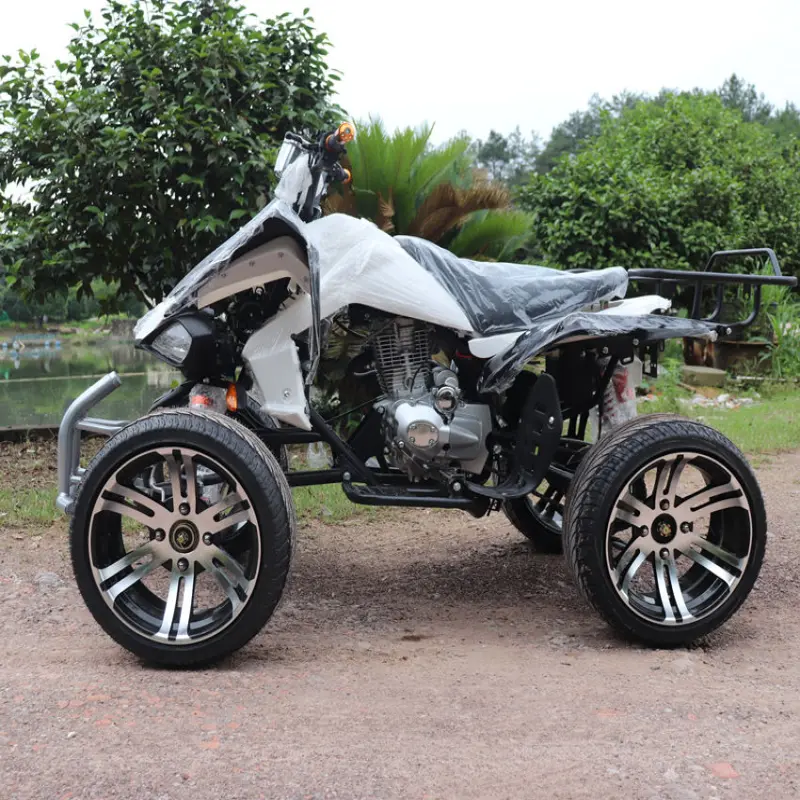 125cc Mountain Off Road ATV Quad Bike With 4 Stroke Customized