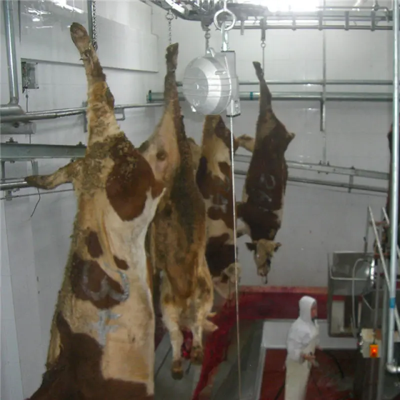 Halal Abattoir Slaughterhouse Muslim Cattle Slaughtering Equipment