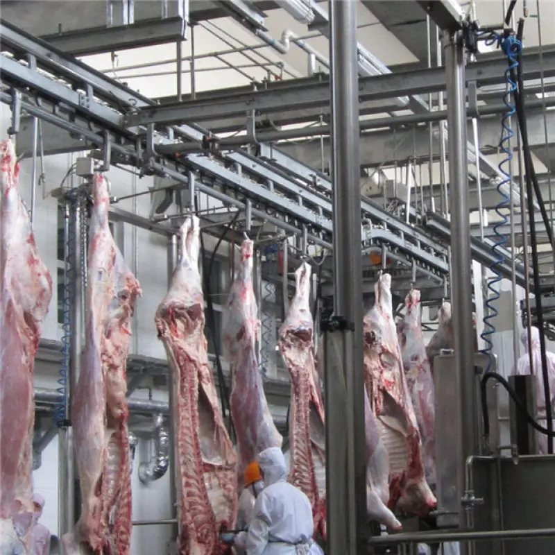 Halal Abattoir Slaughterhouse Muslim Cattle Slaughtering Equipment