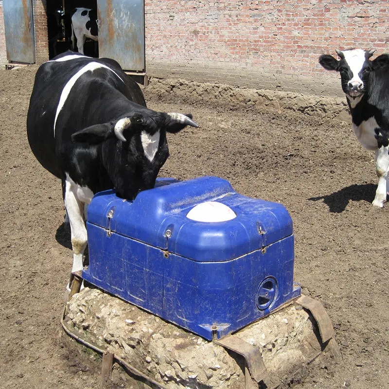 App Control Temperature Internet System Livestock Water Trough Equipment Cow Cattle Automatic  Animal Drinker