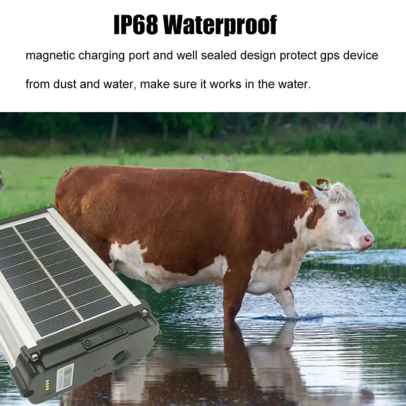 Rugged Solar GPS Tracker: Waterproof, Long Stand-by, Anti-lost Alarm | Animal Tracking Device for Sheep, Cow, Horse | APP Control (Minimum Order: 5)