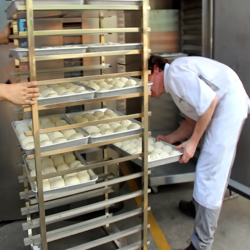 Bakery Pizza Donut Home Mini industrial Bread Heater proofer retarder machine