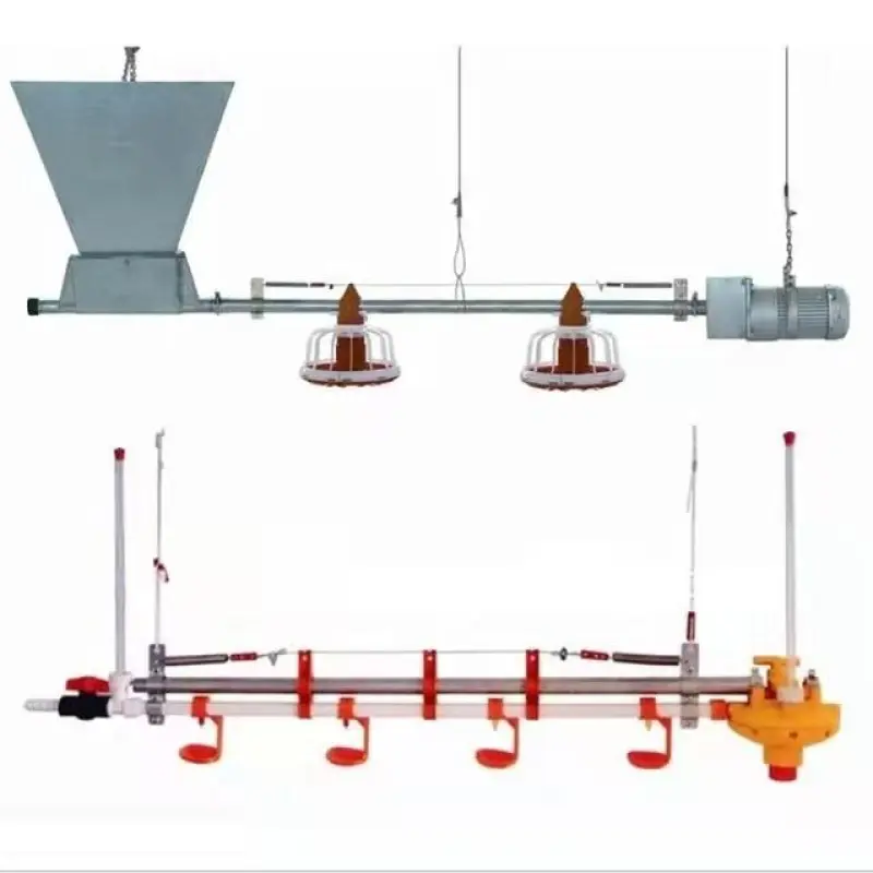 Automatic Pan Feeding System For Broiler Good Quality Poultry Equipment