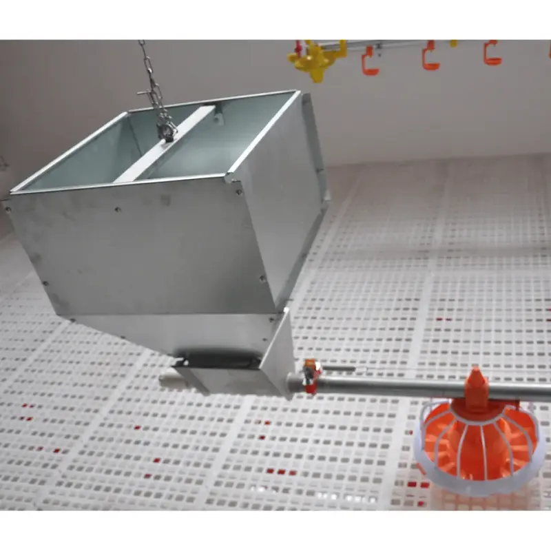 Hot Dip Galvanized Hooper For Broiler Floor Poultry Equipment Automatic Auger Feed System