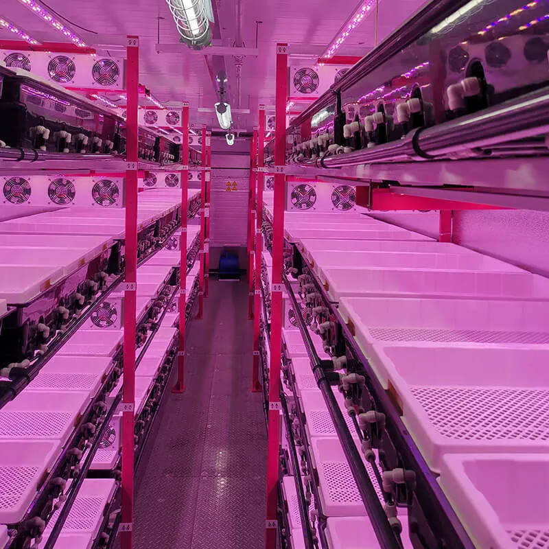 40HQ Container Farm Clone,Vegetable,Seeding,Microgreen - CF-VAX Series