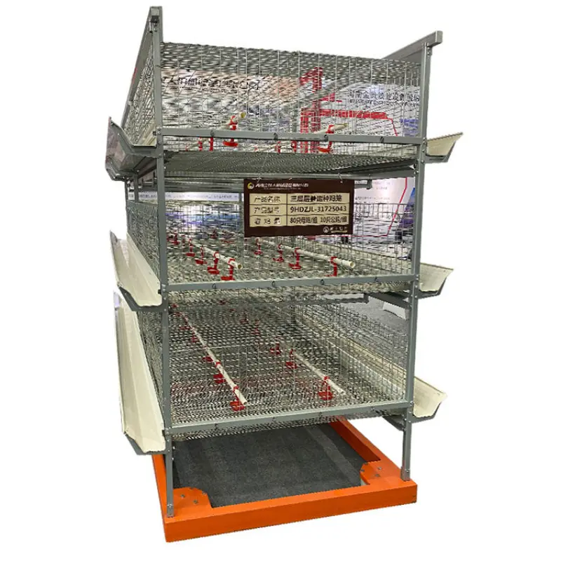 4 Tiers 5 Tiers H Type Modern Design Poultry Farm Shed Automatic Chicken Broilers Cage System