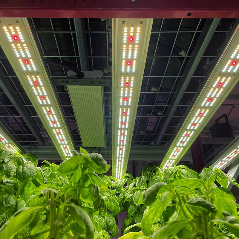 Indoor Farming  Waterproof LEDLight With 650W