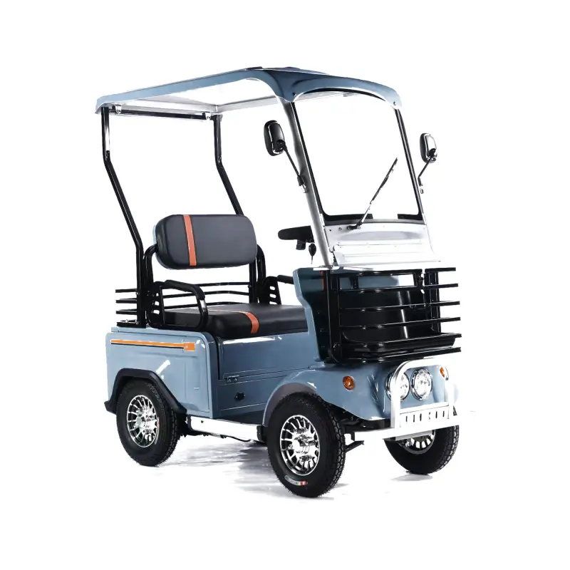 800W 60V Electric Elderly Mobility Scooter 4 Wheel Mutlifuction Long Range Golf Cart With Roof