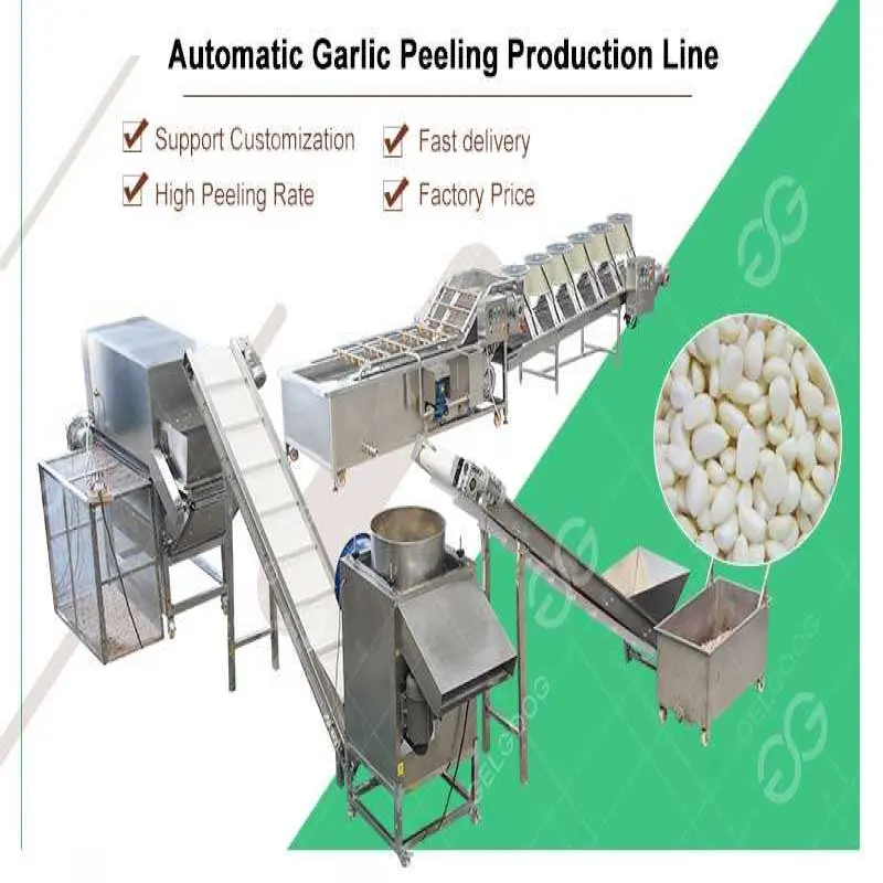 150 kg per h Industrial Dry Garlic Peeling Machine with Air Compressor