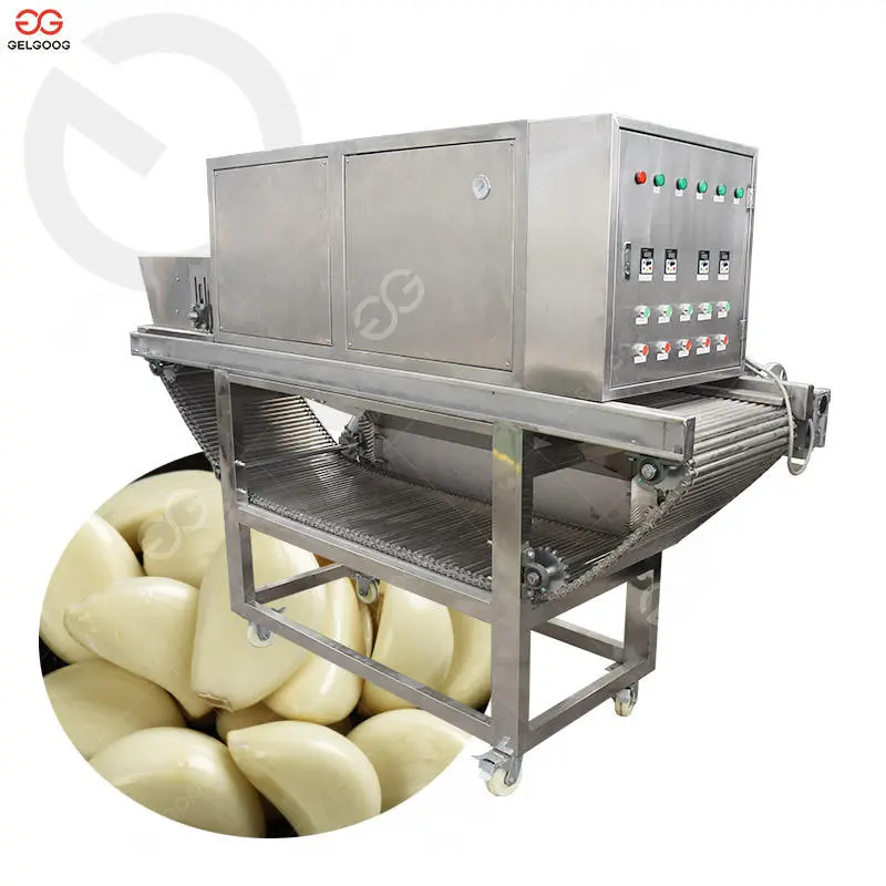 1 ton per h Industrial Garlic Peeling Machine Production Line