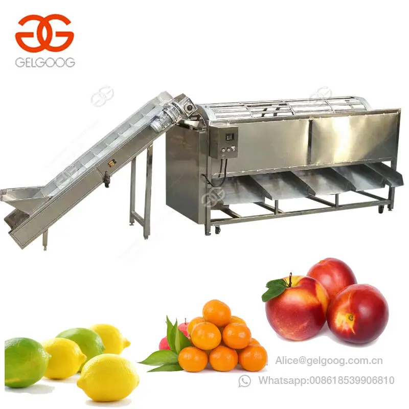 High Capacity Onion Potato Jackfruit Lemon Grading Line Cherry Tomato Grader Kiwi Olive Apple Fruit Sorting Machine