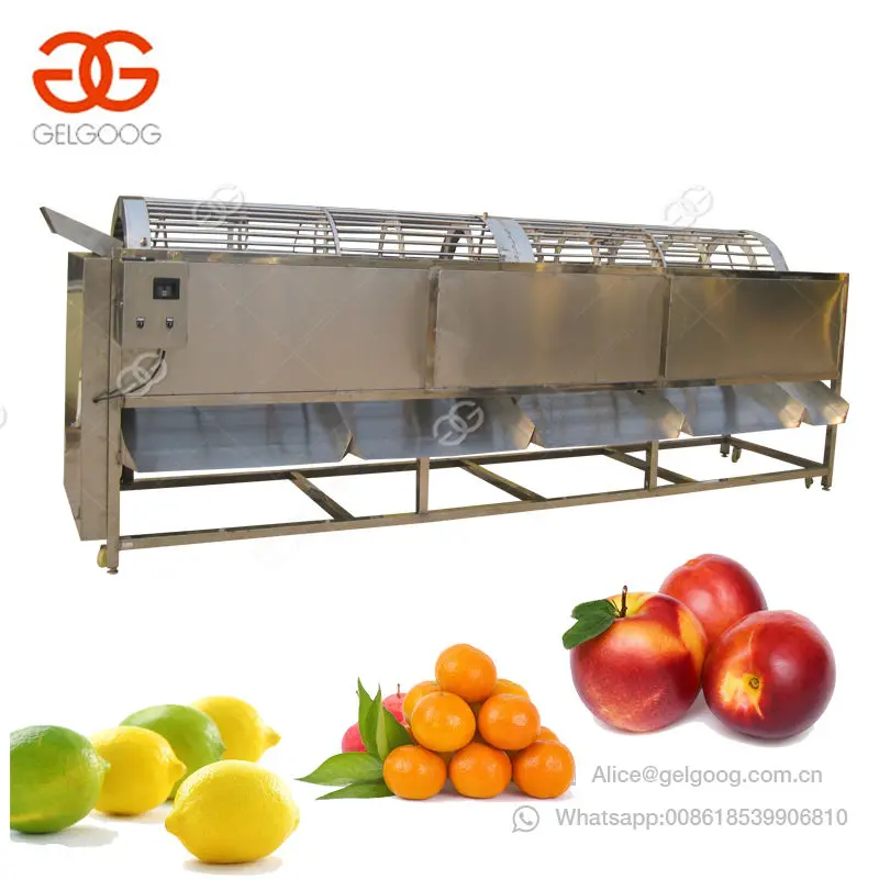 High Capacity Onion Potato Jackfruit Lemon Grading Line Cherry Tomato Grader Kiwi Olive Apple Fruit Sorting Machine