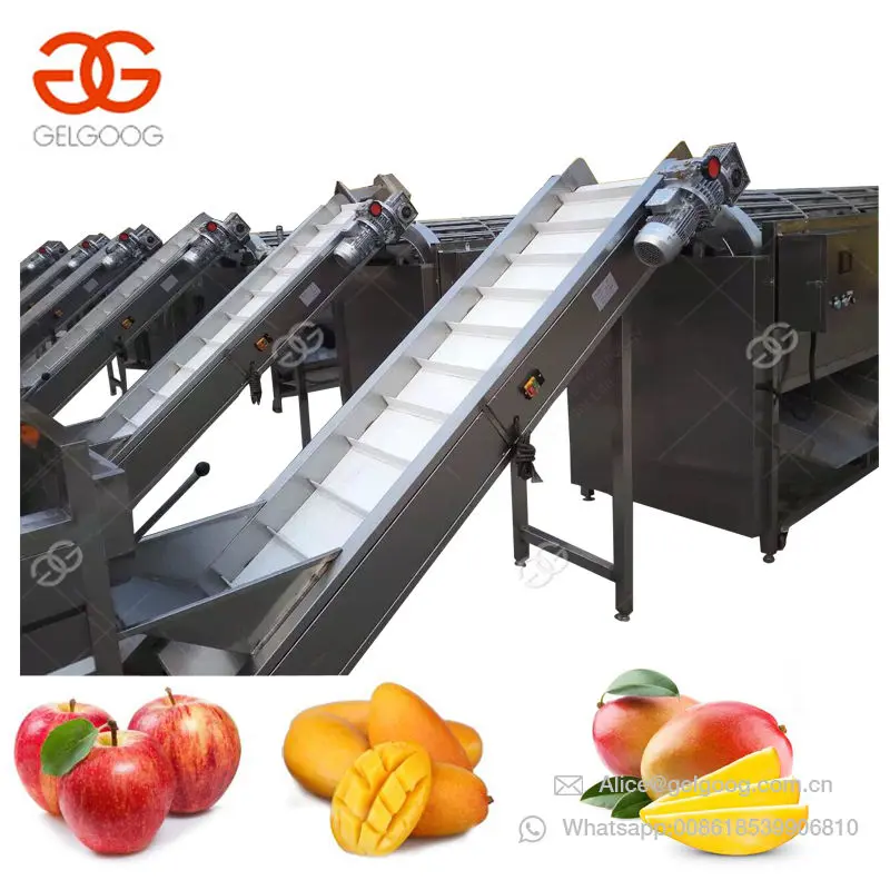 High Capacity Onion Potato Jackfruit Lemon Grading Line Cherry Tomato Grader Kiwi Olive Apple Fruit Sorting Machine