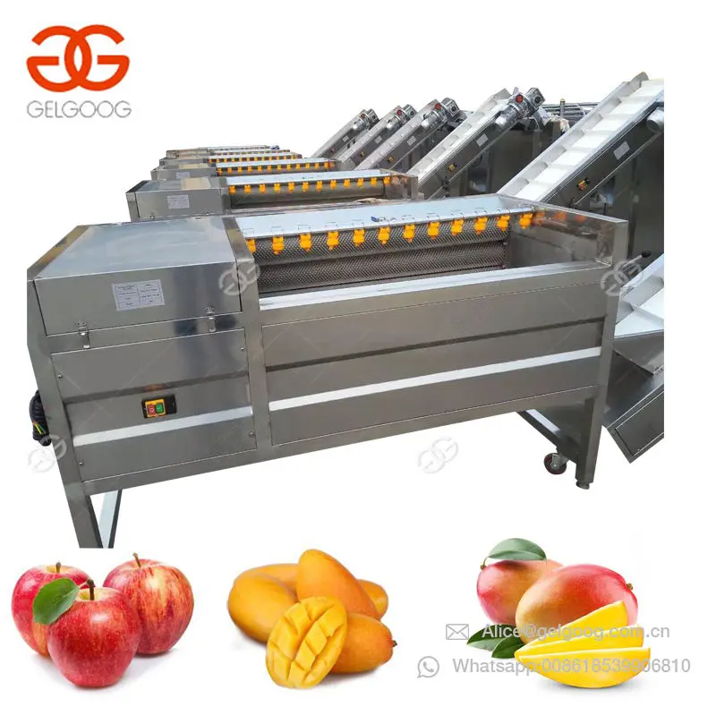 High Capacity Onion Potato Jackfruit Lemon Grading Line Cherry Tomato Grader Kiwi Olive Apple Fruit Sorting Machine